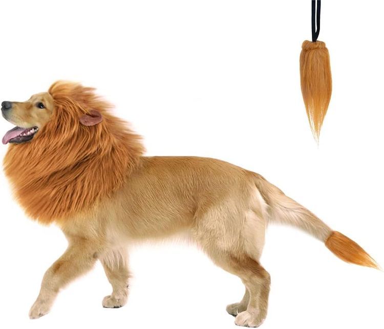 No. 8 - Dog Lion Mane Costume - 2