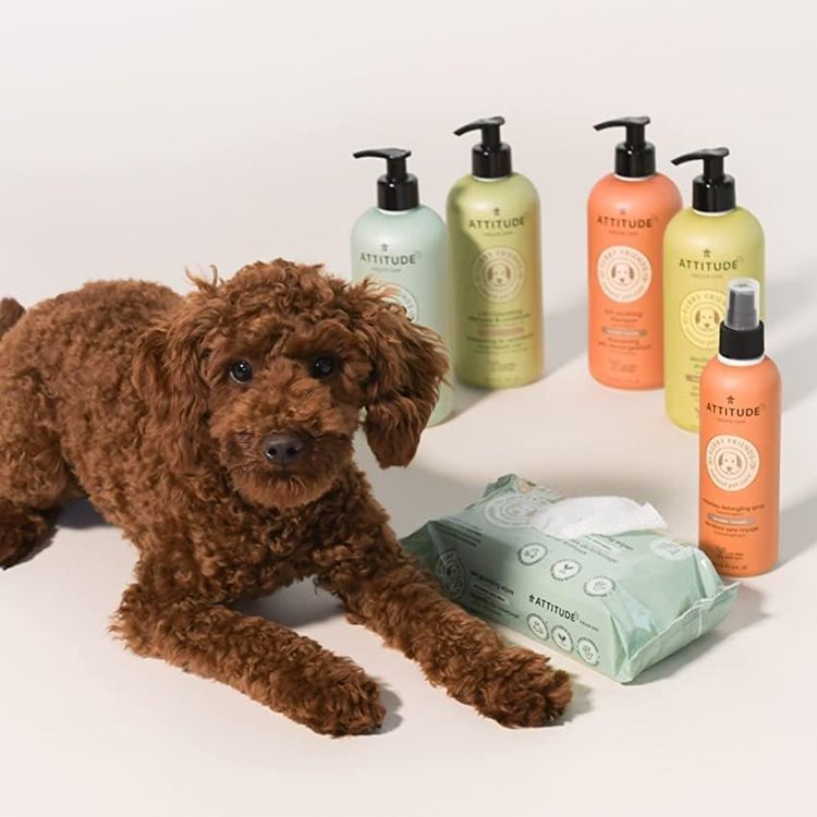 No. 6 - ATTITUDE Pet Shampoo and Conditioner - 4