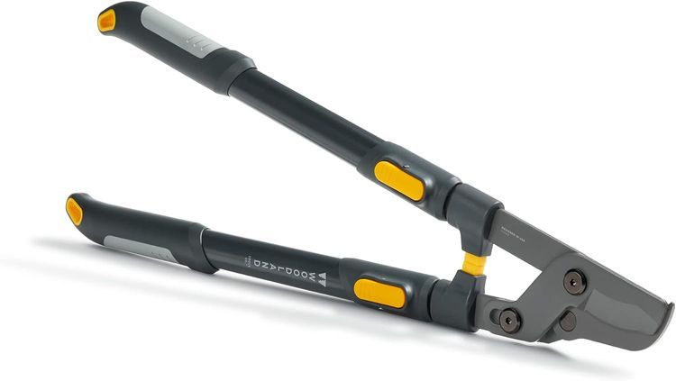 No. 9 - Woodland Tools Co. Heavy Duty Extendable Lopper - 1