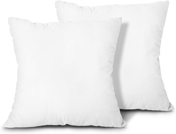 No. 2 - EDOW Throw Pillow Inserts - 1