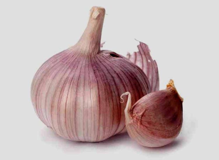 No. 1 - Country Creek Acres Garlic Bulbs - 2