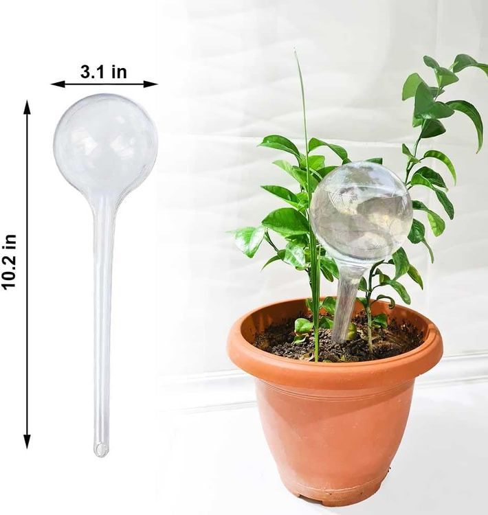 No. 10 - Plant Self Watering Stakes - 5