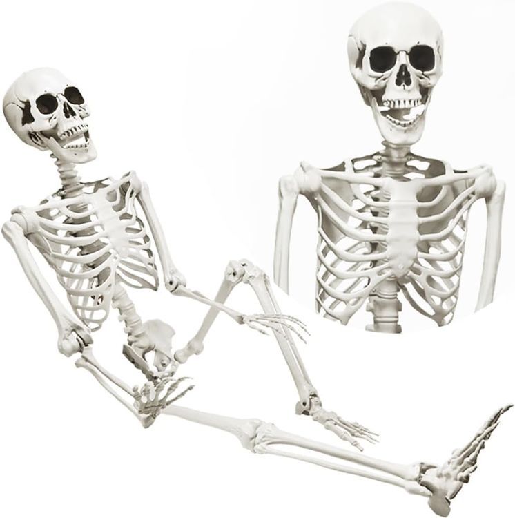 No. 9 - DINESIL 5.4ft Halloween Skeleton - 1