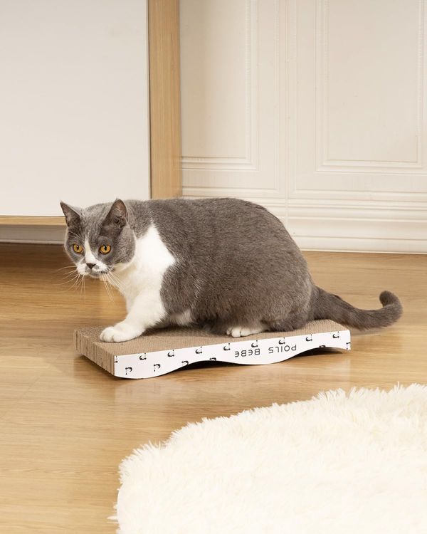 No. 8 - Poils bebe Cat Scratcher - 3