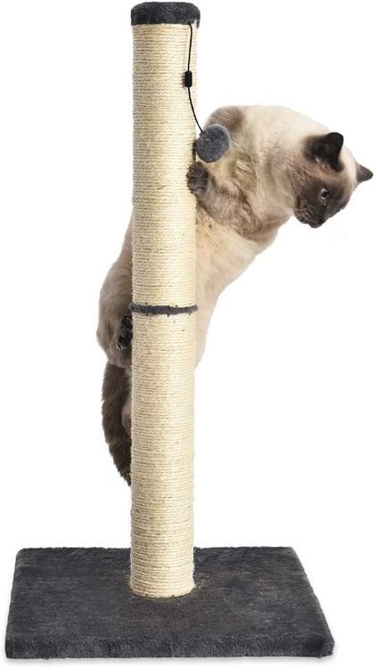 No. 10 - Amazon Basics Cat Scratching Post - 2