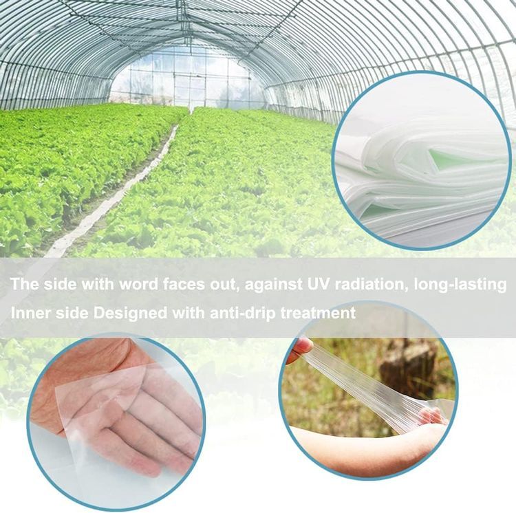 No. 4 - Greenhouse Covering Plastic - 2