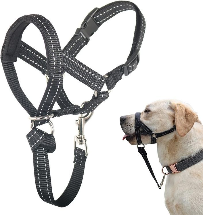 No. 4 - Dog Head Collar - 1