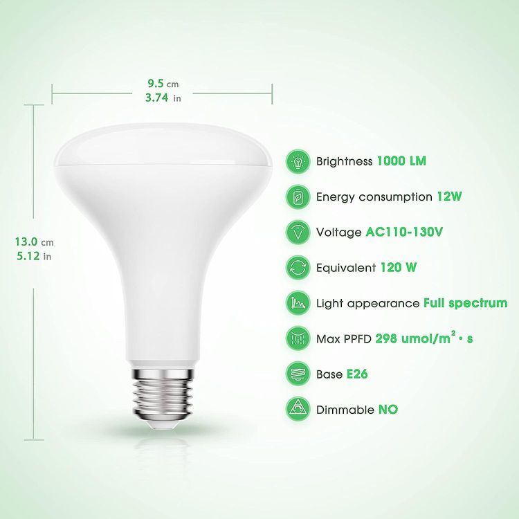 No. 9 - Briignite LED Grow Light Bulb - 4