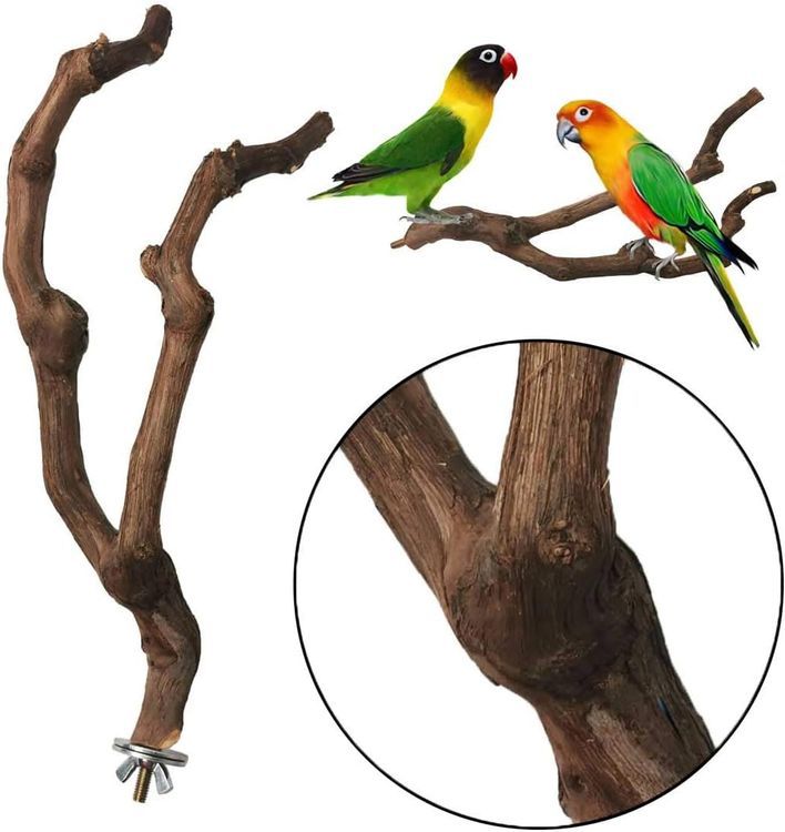 No. 1 - Kathson Bird Perch Stand - 5