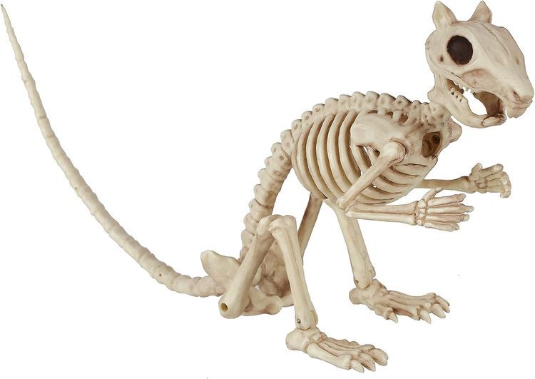 No. 2 - Crazy Bonez Skeleton Squirrel - 1