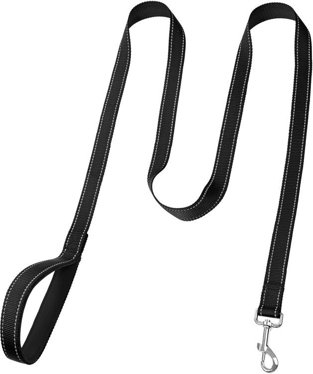 No. 9 - FunTags 6FT Reflective Dog Leash - 2