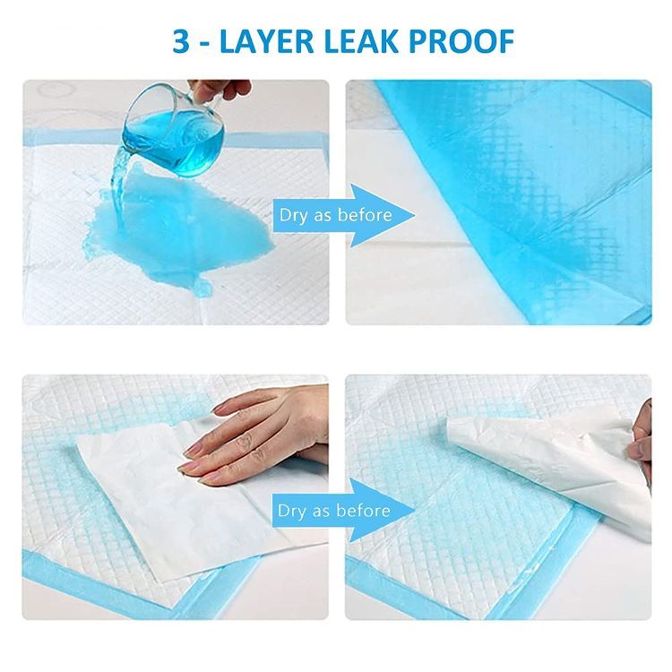No. 10 - Clearworld Disposable Changing Pad - 5