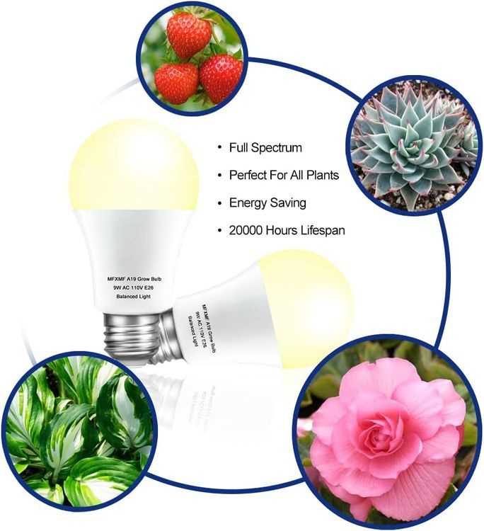 No. 4 - mfxmf 2 Pack LED Grow Light Bulbs - 2