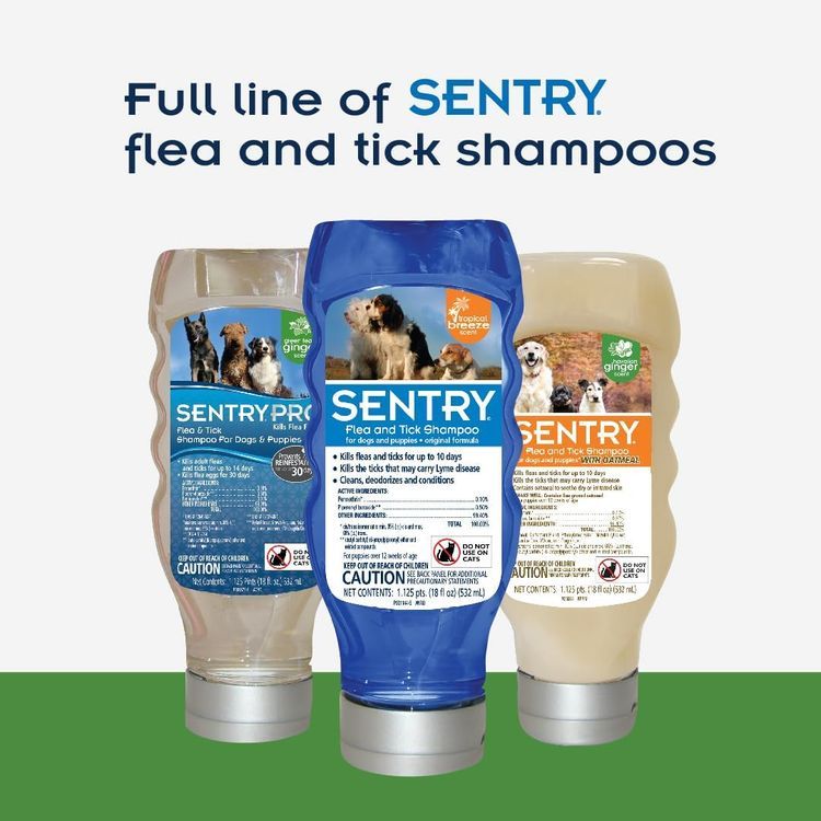 No. 4 - Sentry Oatmeal Flea and Tick Shampoo - 5