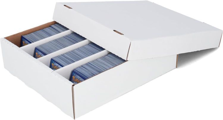 No. 4 - BCW Storage Box - 5