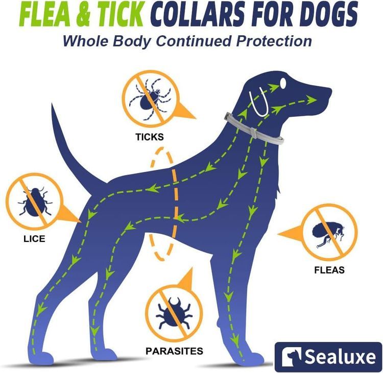 No. 10 - SEALUXE Dog Flea and Tick Collar - 3