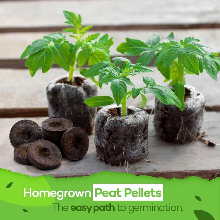 No. 4 - Seed Starter Peat Pellets - 2