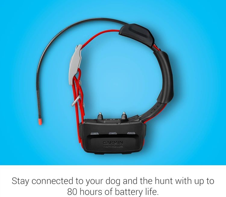 No. 7 - Garmin TT™ 15X Dog Tracking and Training Device - 3