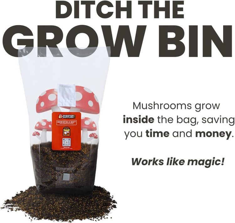 No. 3 - Mushroom Grow Bag - 5