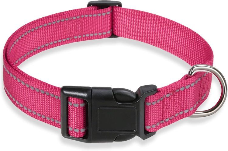 No. 9 - Reflective Dog Collar with Buckle - 1