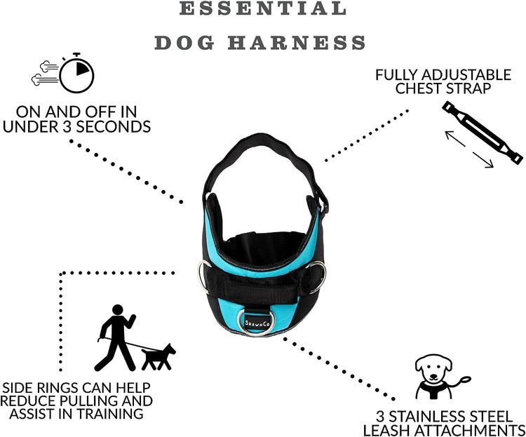 No. 7 - SHAWNCO Essential Dog Harness - 4