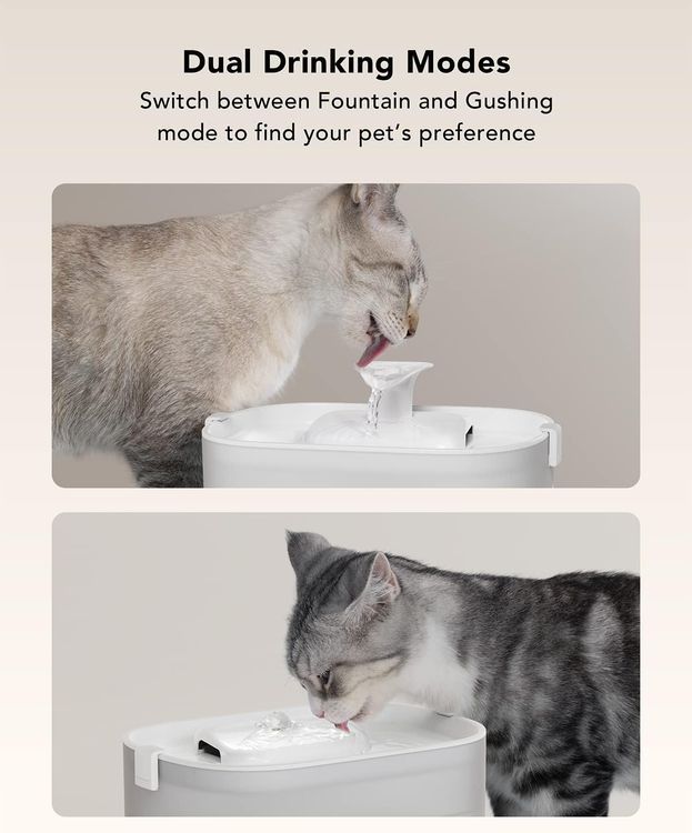 No. 9 - PETLIBRO Cat Water Fountain Filters - 5