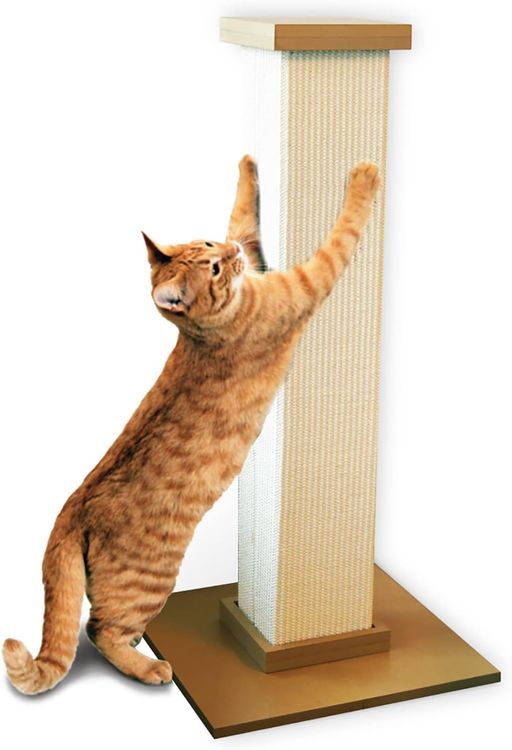 No. 3 - SmartCat Ultimate Scratching Post - 1