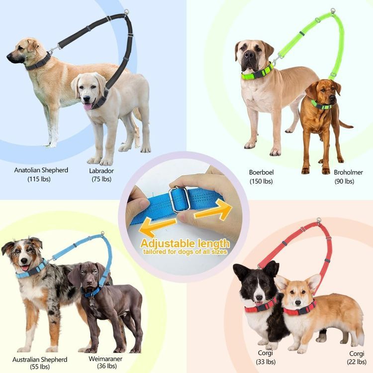 No. 3 - Brilliant Paw Double Dog Leash - 4