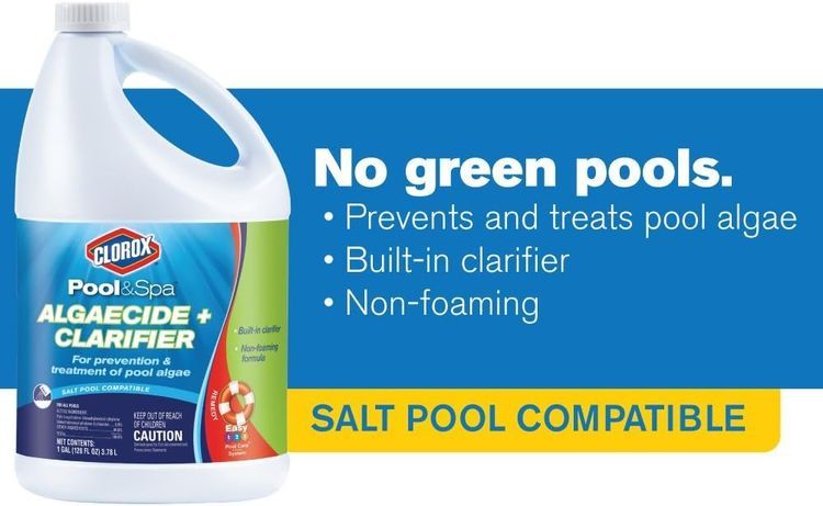 No. 2 - Clorox Pool Algaecide - 5