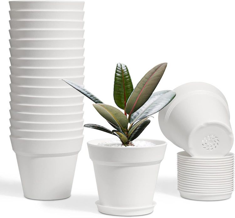 No. 6 - T4U 4 Inch Plant Pots - 1