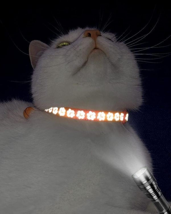 No. 2 - Taglory Reflective Cat Collars - 5