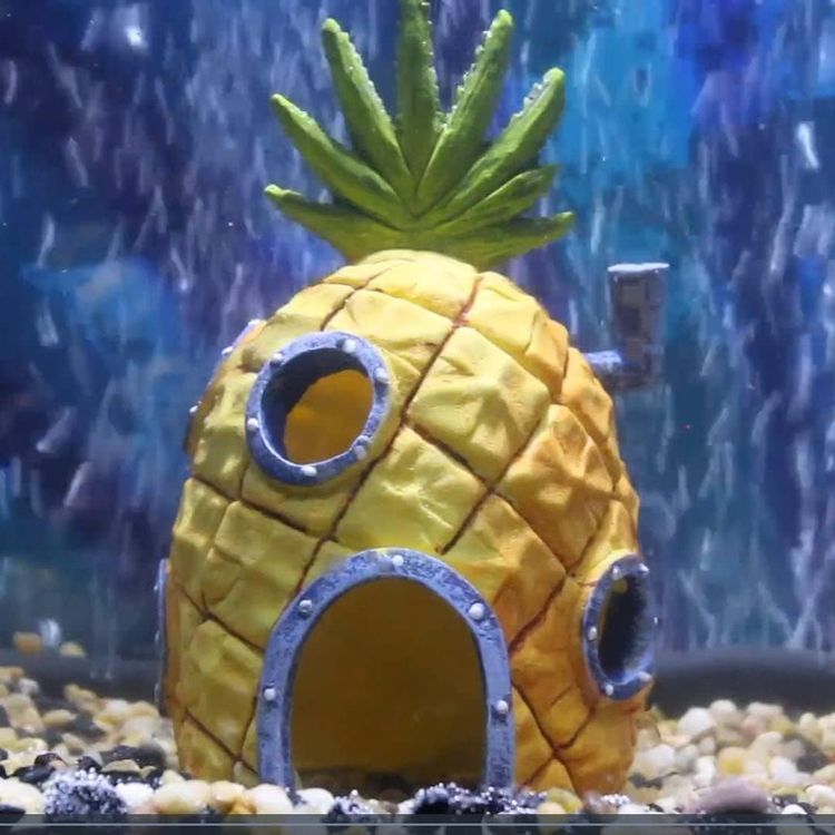 No. 3 - SpongeBob Pineapple House - 2