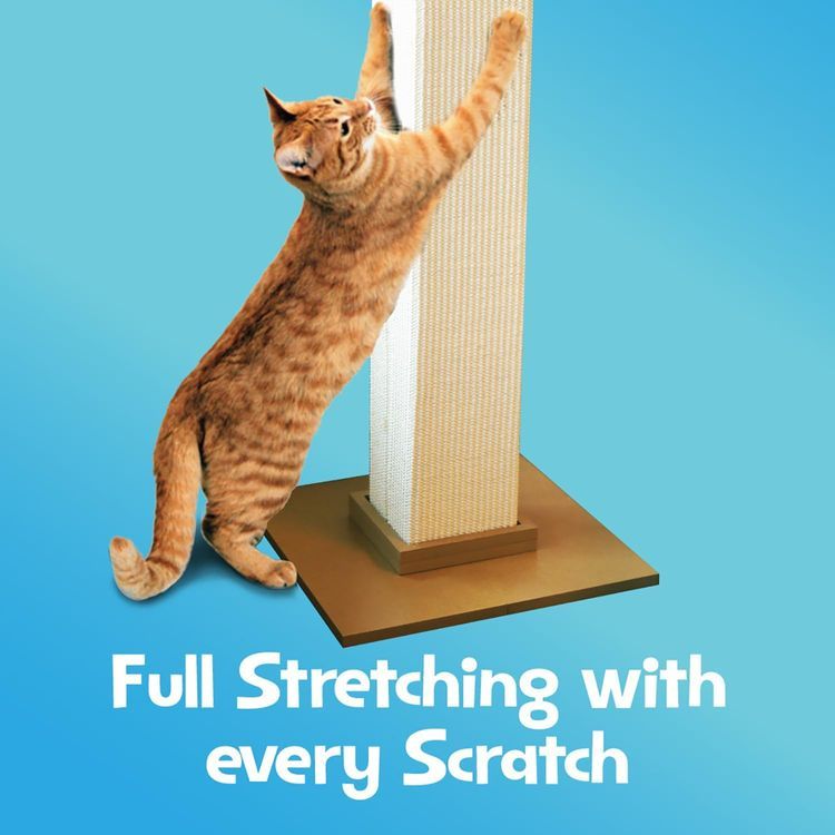 No. 3 - SmartCat Ultimate Scratching Post - 3