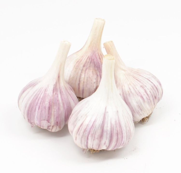 No. 8 - Garlic - 1