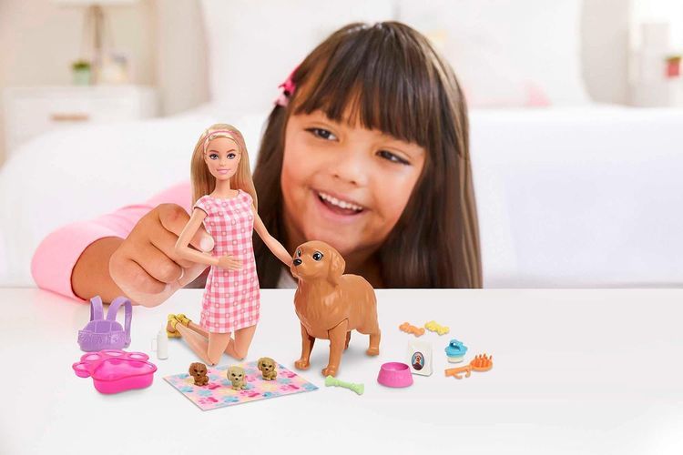 No. 5 - Barbie Doll and Pets Playset - 2