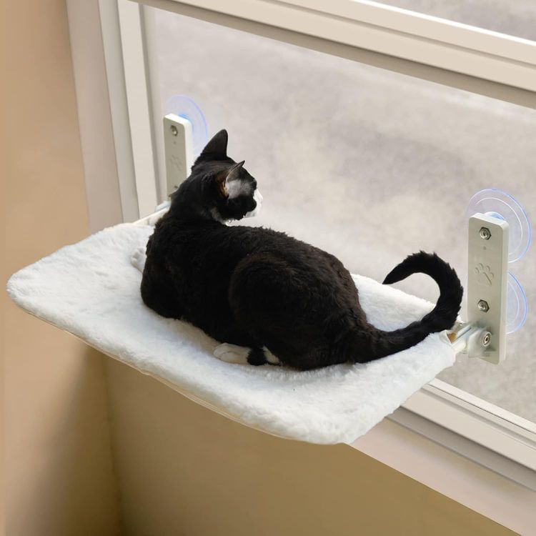 No. 8 - Cat Window Perch - 1