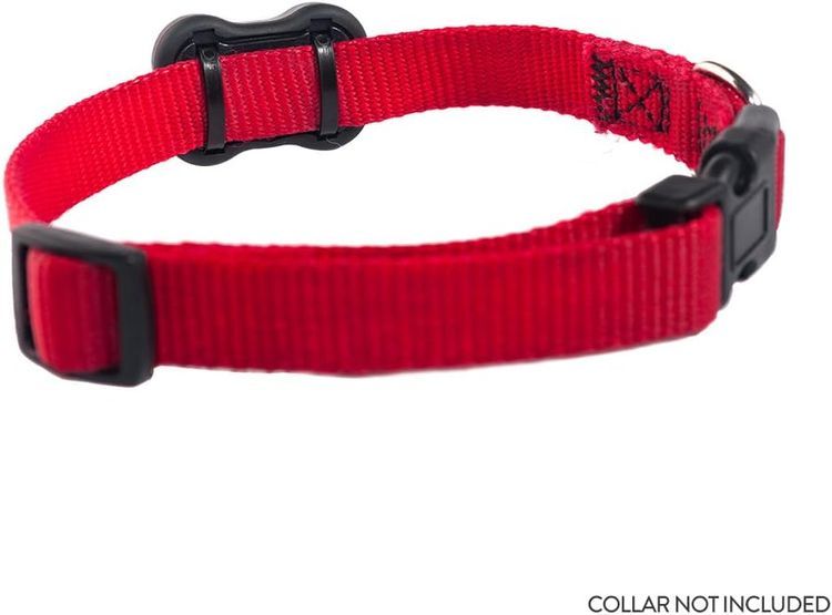 No. 6 - FitBark Dog Activity Monitor - 4