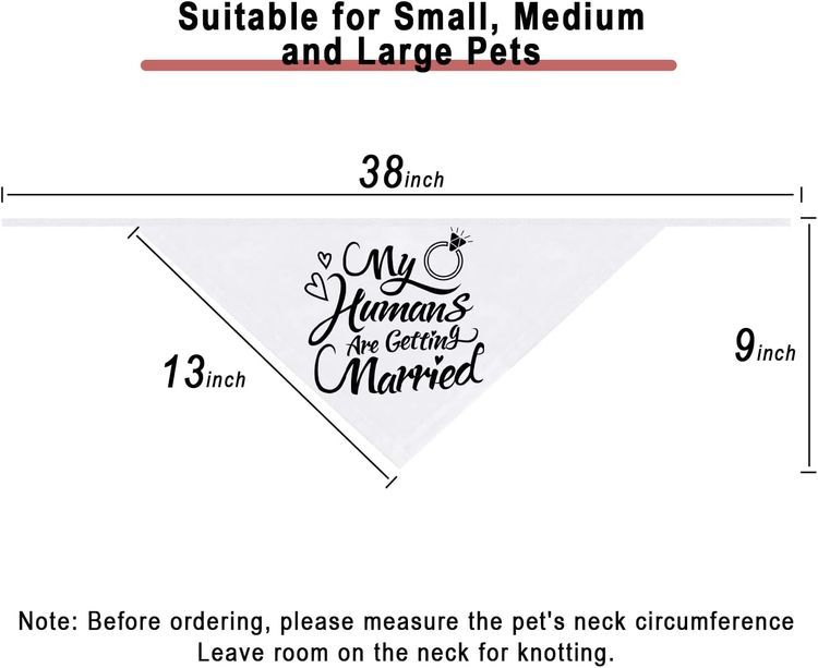 No. 3 - Dzmodz Wedding Dog Bandana - 4