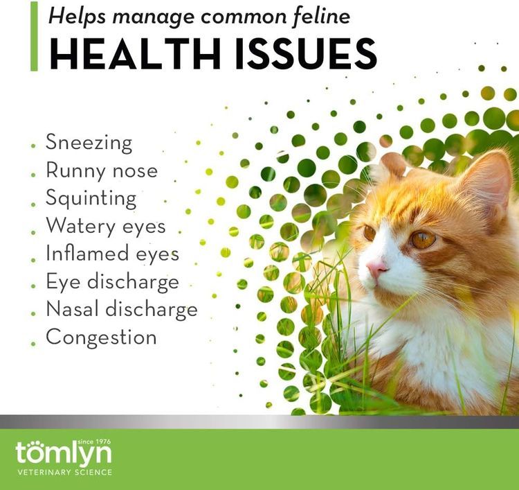 No. 7 - TOMLYN Cat Antioxidant Supplement - 3