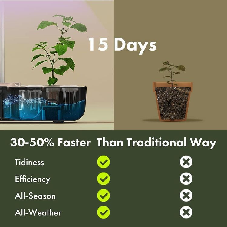 No. 10 - LYKOCLEAN Hydroponic Growing Kit - 5