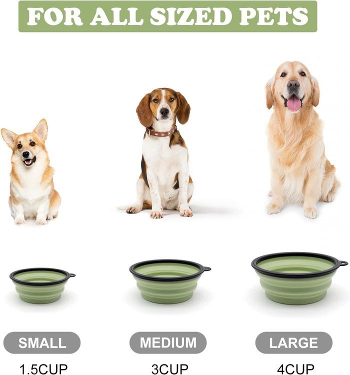 No. 9 - Collapsible Dog Bowls - 4