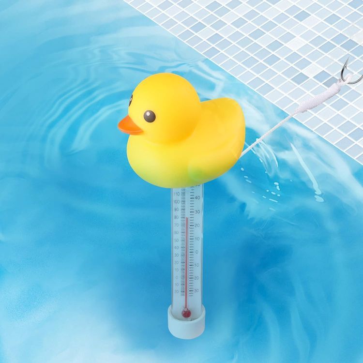 No. 10 - Zxmissu Floating Pool Thermometer - 5