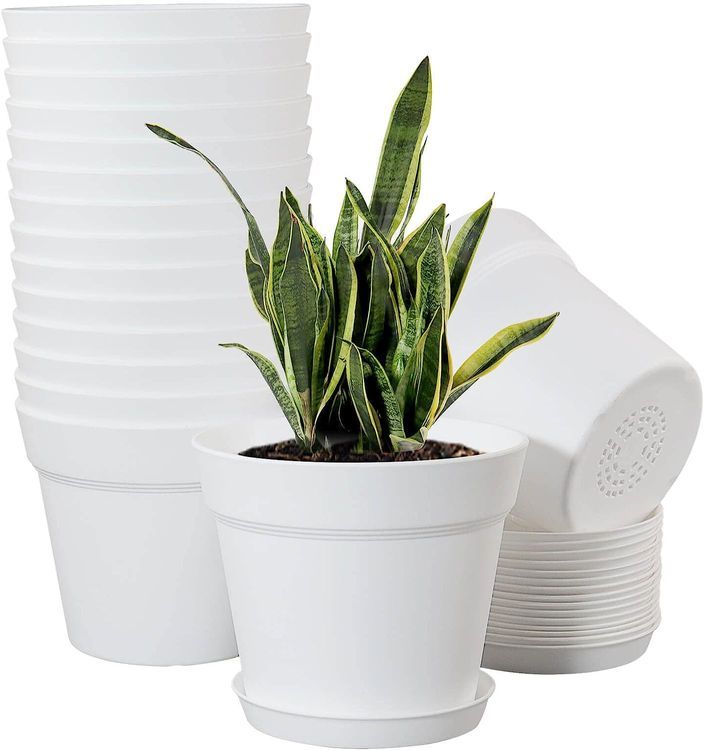 No. 7 - 6-Inch Plant Pot Set - 1