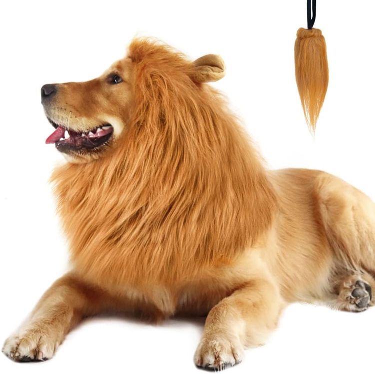 No. 8 - Dog Lion Mane Costume - 1