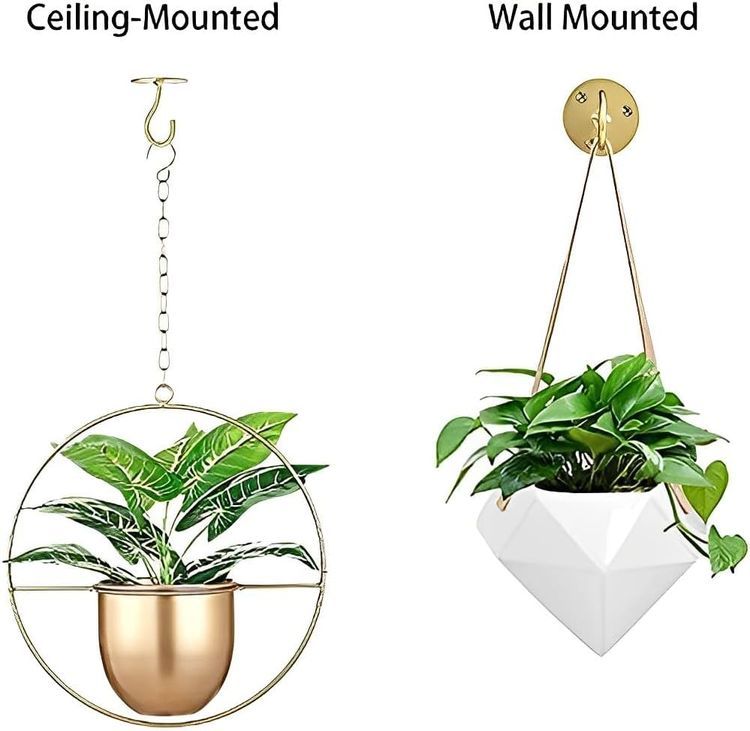 No. 9 - Ceiling Hooks for Hanging Plants - 5