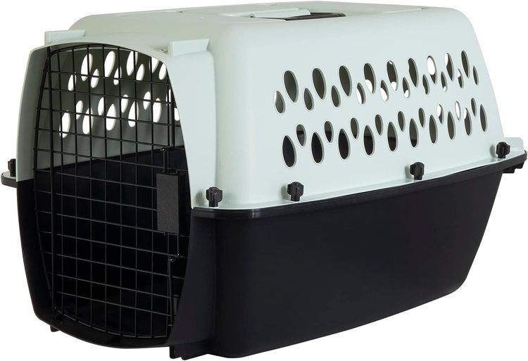 No. 10 - Petmate Pet Porter Fashion Dog Kennel - 1