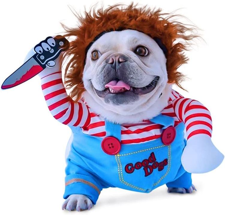 No. 4 - ZOPAC Dog Halloween Costume - 1