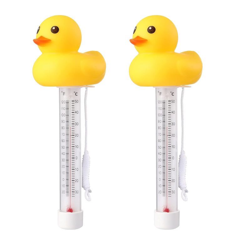 No. 10 - Zxmissu Floating Pool Thermometer - 1