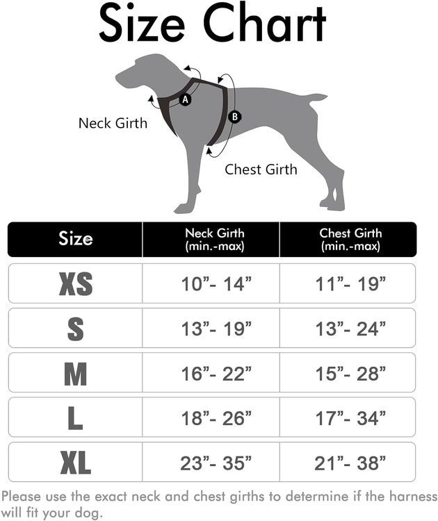 No. 2 - rabbitgoo Dog Harness - 2