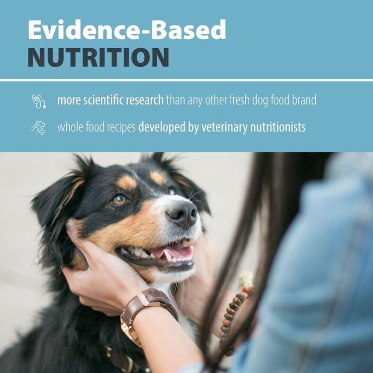 No. 6 - JustFoodForDogs Balanced Remedy - 2